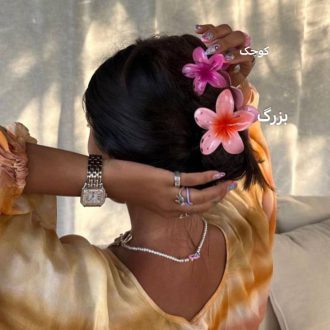 کلیپس پلومریا بزرگ